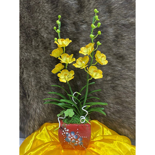 Chậu hoa Lan Vanda đất sét size trung