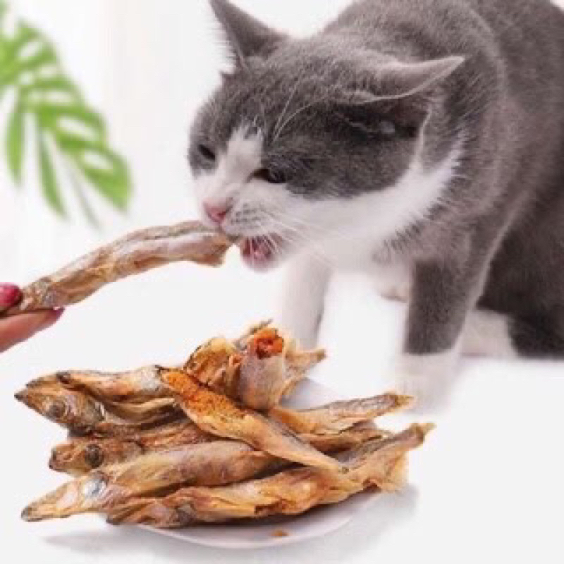 50g - Cá trứng sấy cho chó mèo