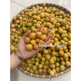 1kg quả mơ tươi Mộc Châu