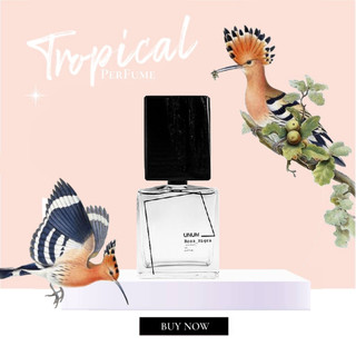 | 𝐂𝐇𝐈𝐋𝐋.𝐎𝐔𝐓 | nước hoa unisex niche unum rosa nigra extrait de parfums 5ml/10ml/20ml