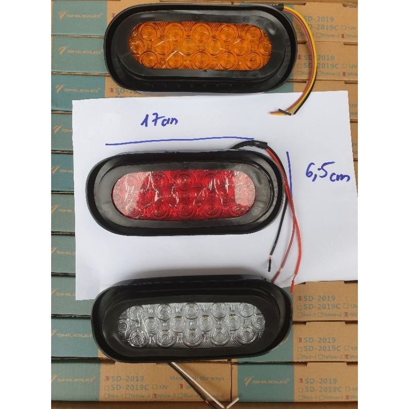 Hậu 2019 12v,24v