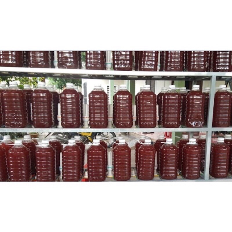 Vi sinh quang hợp PSB