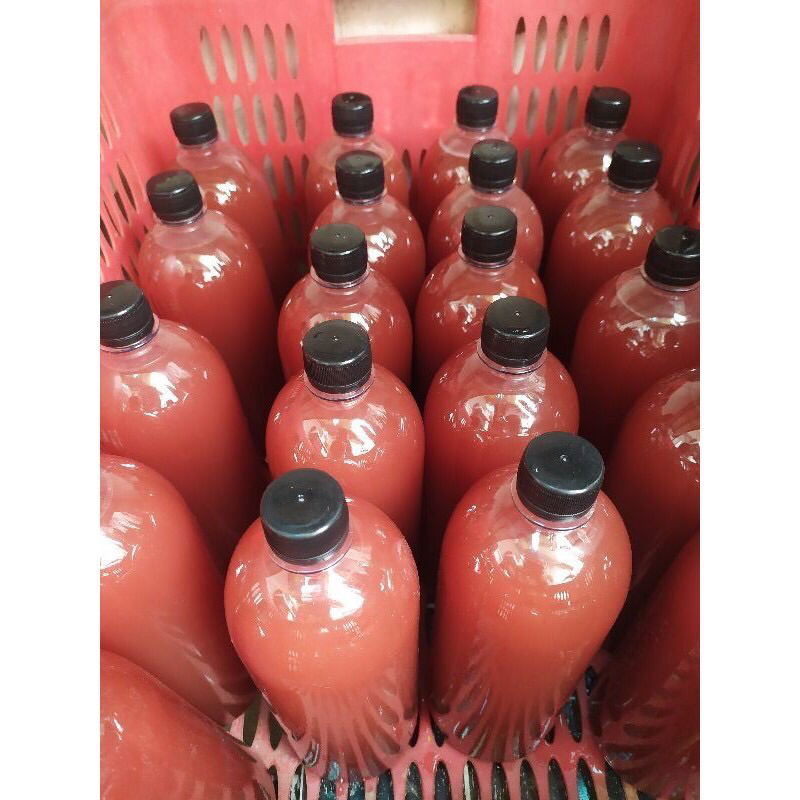 Vi sinh quang hợp PSB