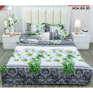 Thanh lý gấp bộ ga gối 2 món m4/m5/m6 cotton poly có chọn mẫu