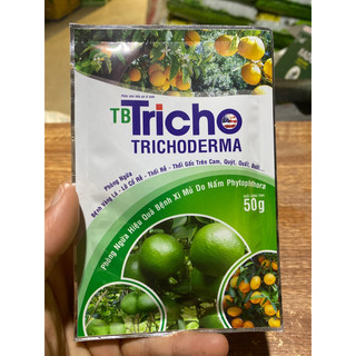 Trichoderma - ngăn ngừa bệnh vàng lá, lở cổ rễ, thối gốc