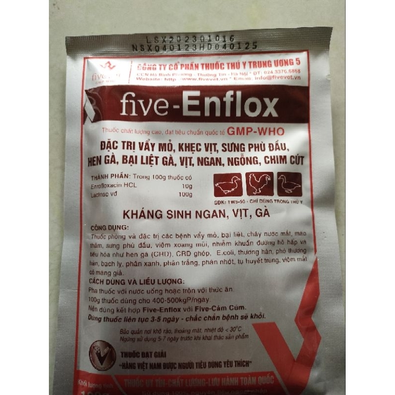 Five - ENFLOX 100g kháng sinh NGAN, VỊT, GÀ