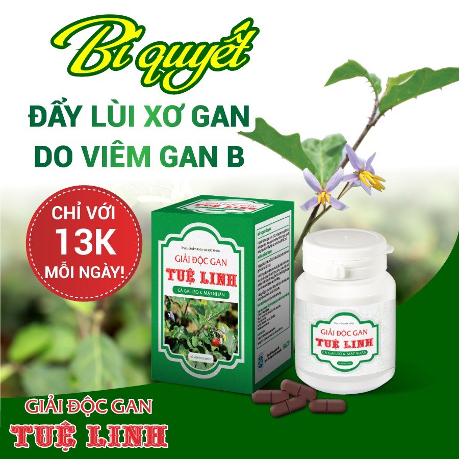 Viên Giải Độc Gan Tuệ Linh Hộp 60 viên - Giúp hạ men gan Hỗ trợ viêm gan xơ gan ,Tăng cường chức năng gan thải đôcj
