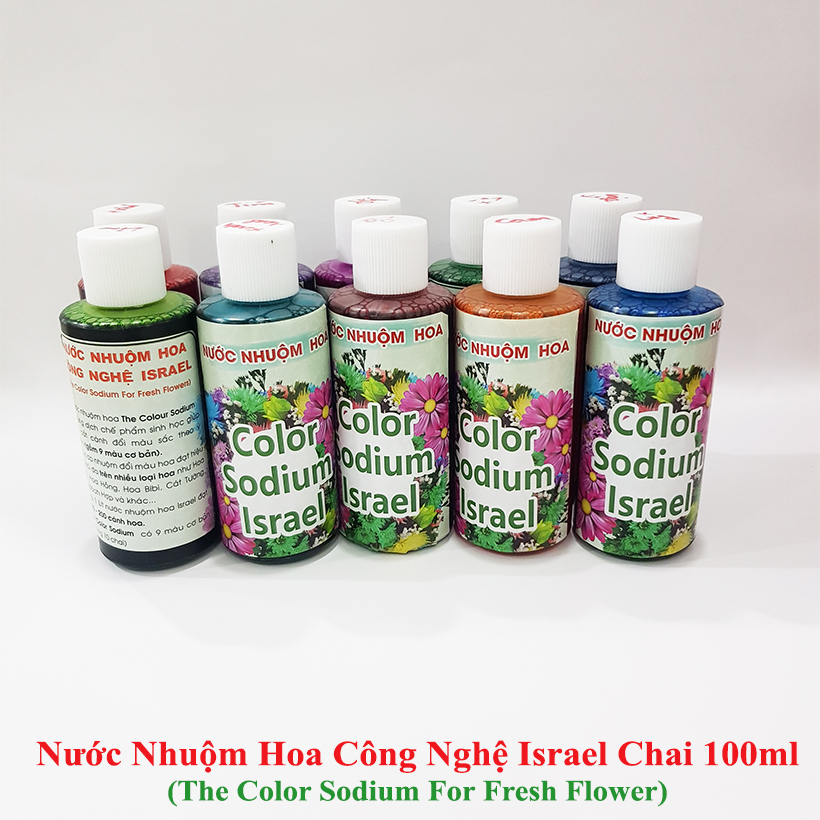 Bộ Chai Nhỏ Nước Nhuộm Hoa Tươi Công Nghệ Israel (SET 10 chai 100ml x10 màu) giúp học sinh nhuộm đổi màu hoa theo ý muốn