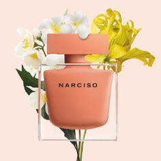 ✨𝓜𝓐𝓨.𝓒𝓞𝓝𝓔𝓡 ❣ Nước hoa Nữ 𝐍𝐚𝐫𝐜𝐢𝐬𝐨 𝐑𝐨𝐝𝐫𝐢𝐠𝐮𝐞𝐳 𝐀𝐦𝐛𝐫𝐞𝐞 𝐄𝐃𝐏