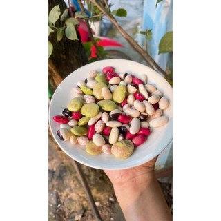 Đậu Đà Lạt Mix 5 Loại