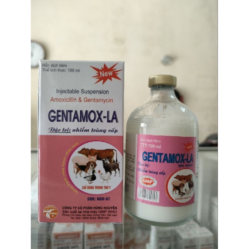 Gentamox La 100ml - NHIỄM TRÙNG CẤP.