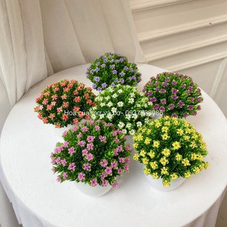Chậu hoa ngâu điểm trang trí cao cấp merber cao 20-22cm