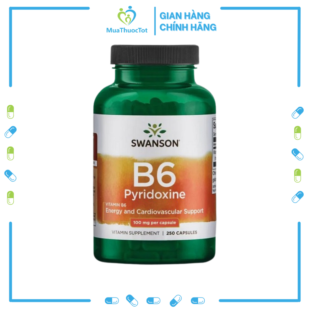 Swanson Viên Uống Bổ Sung Vitamin B6 100mg 250 Viên