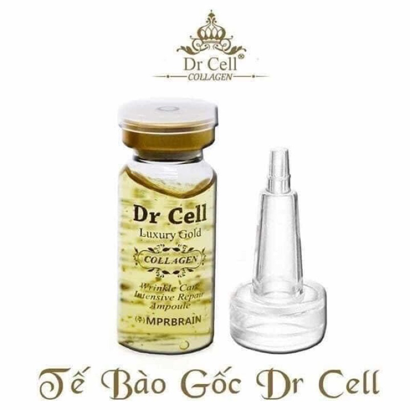 Tế bào gốc Drcell