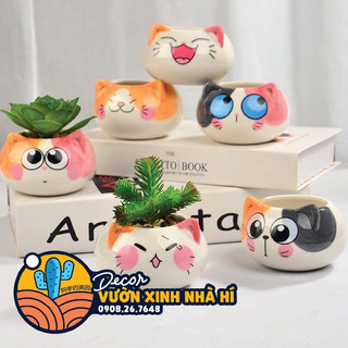 Chậu thú cute để bàn sen đá, sương rồng