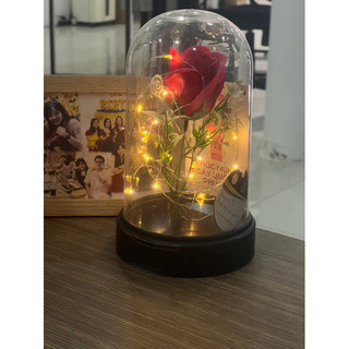 ĐÈN LỒNG FAIRYBELL