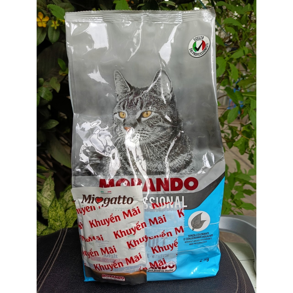 Thức ăn mèo Morando 2kg TẶNG gói pate 85g