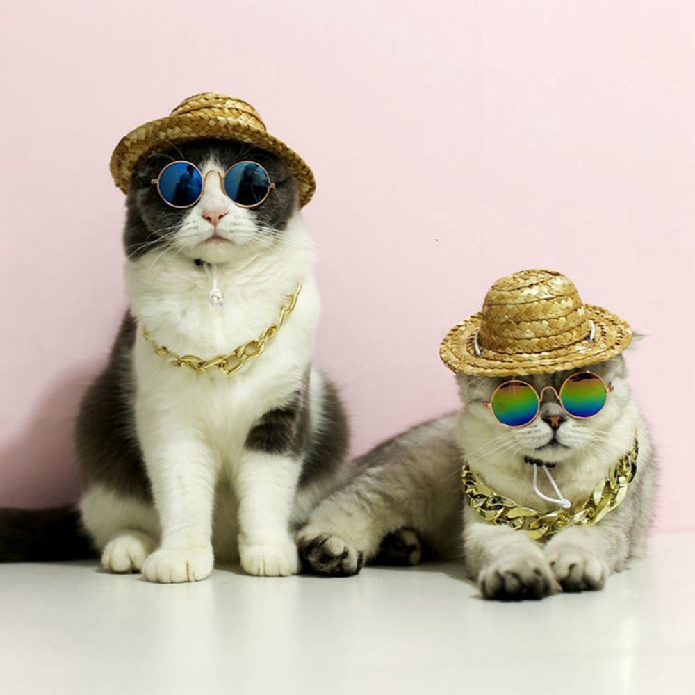 Dây chuyền mạ vàng cho chó mèo - Vòng cổ cho thú cưng
