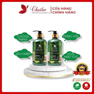 Dầu gội bưởi 𝗔𝗜𝗟𝗜𝗦𝗘 𝗖𝗛𝗨𝗬𝗘̂𝗡 𝗖𝗛𝗢̂́𝗡𝗚 𝗥𝗨̣𝗡𝗚 𝗩𝗔̀ 𝗞𝗜́𝗖𝗛 𝗧𝗛𝗜́𝗖𝗛 𝗠𝗢̣𝗖 𝗧𝗢́𝗖