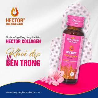 Nước đông trùng hạ thảo Hector Collagen hộp 10 chai