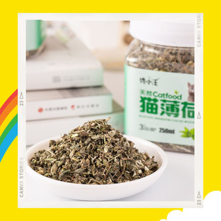 Cỏ mèo Catnip
