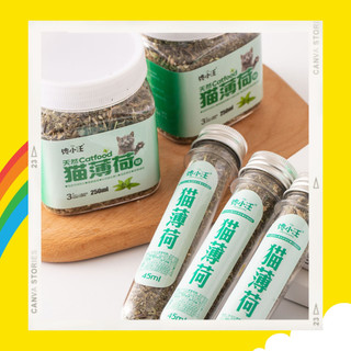 Cỏ mèo Catnip