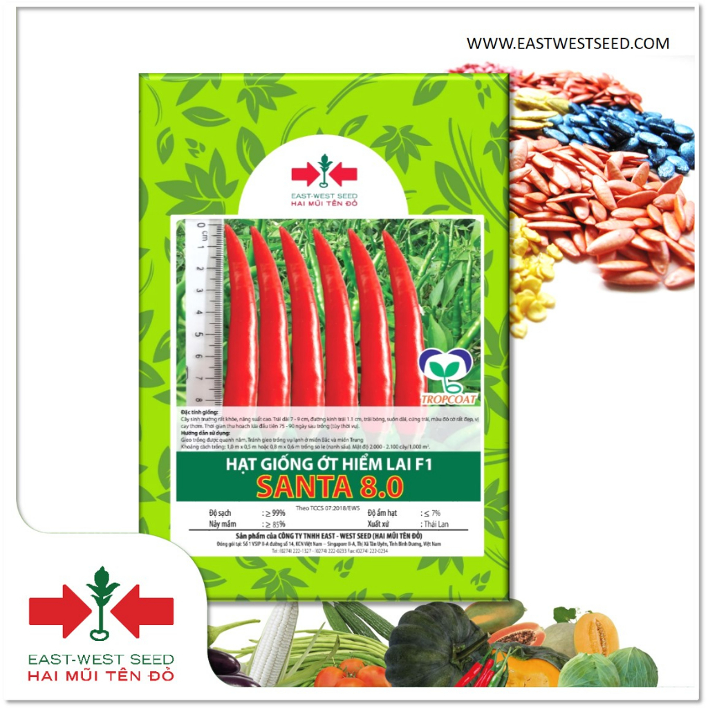 GÓI 5g (KHOẢNG 1050 HẠT) HẠT GIỐNG ỚT HIỂM LAI F1 SANTA 8.0 CỦA EAST-WEST SEED (HAI MŨI TÊN ĐỎ)
