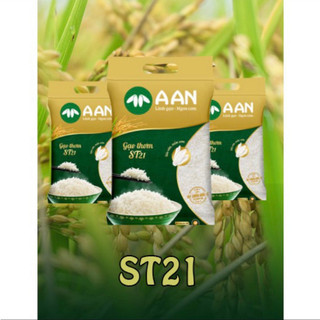 Combo 2 túi gạo thơm st21 a an túi 5kg - đặc sản sóc trăng - thơm hoa lài nhẹ, cơm ngọt, rất dẻo, để nguội vẫn mềm