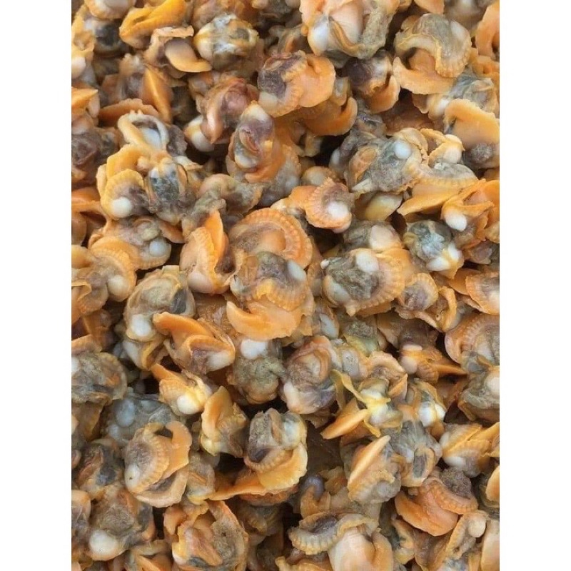 Ruột sò huyết làm sạch 500gr (giao tphcm)