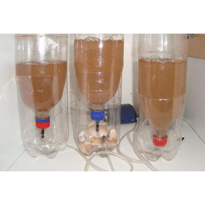 Bộ ấp trứng Artemia chuyên dụng