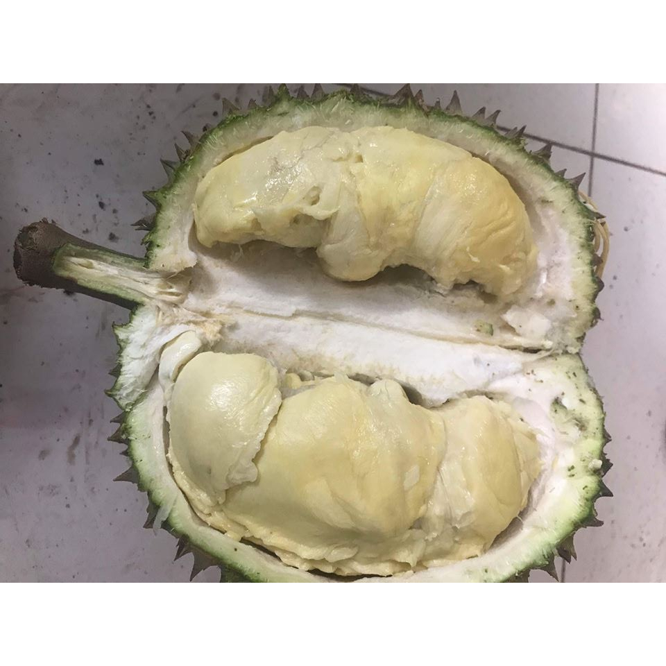 Sầu Riêng hột rụng Lâm Đồng giá 80k/kg