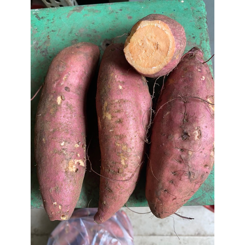 Khoai lang nghệ, khoai lang ruột vàng 1kg - Yellow Sweet Potato [Giao Hoả Tốc TPHCM]