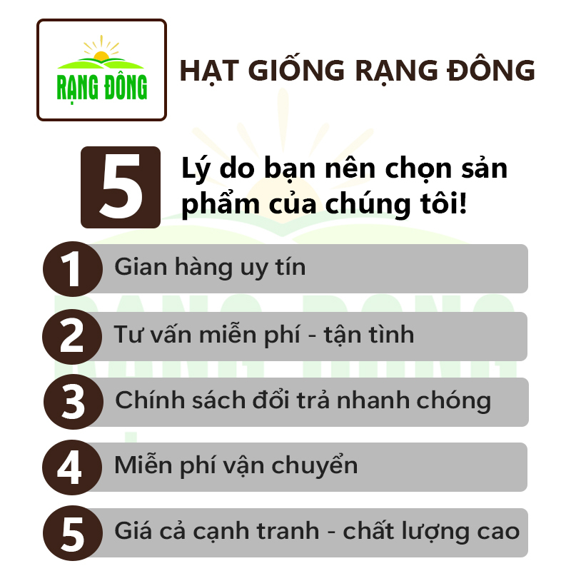 Hạt giống Khổ Qua Lai F1 Trái Dài Rado 316 trồng quanh năm, kháng bệnh tốt - Hạt giống Rạng Đông