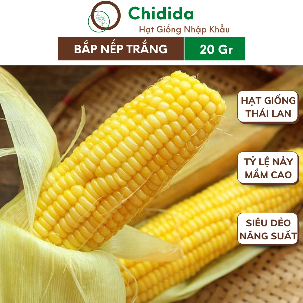Hạt giống ngô ngọt Chidida bắp nếp mỹ siêu dẻo siêu thơm nhập khẩu Thái Lan gói 20g
