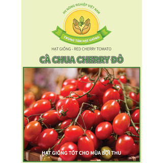 Hạt giống Cà Chua cherry đỏ, Hạt giống Cà Chua cherry vàng - Trung Tâm Hạt Giống HV Nông Nghiệp VN