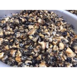 Ruột ốc bưu làm sạch 1kg (giao tphcm)