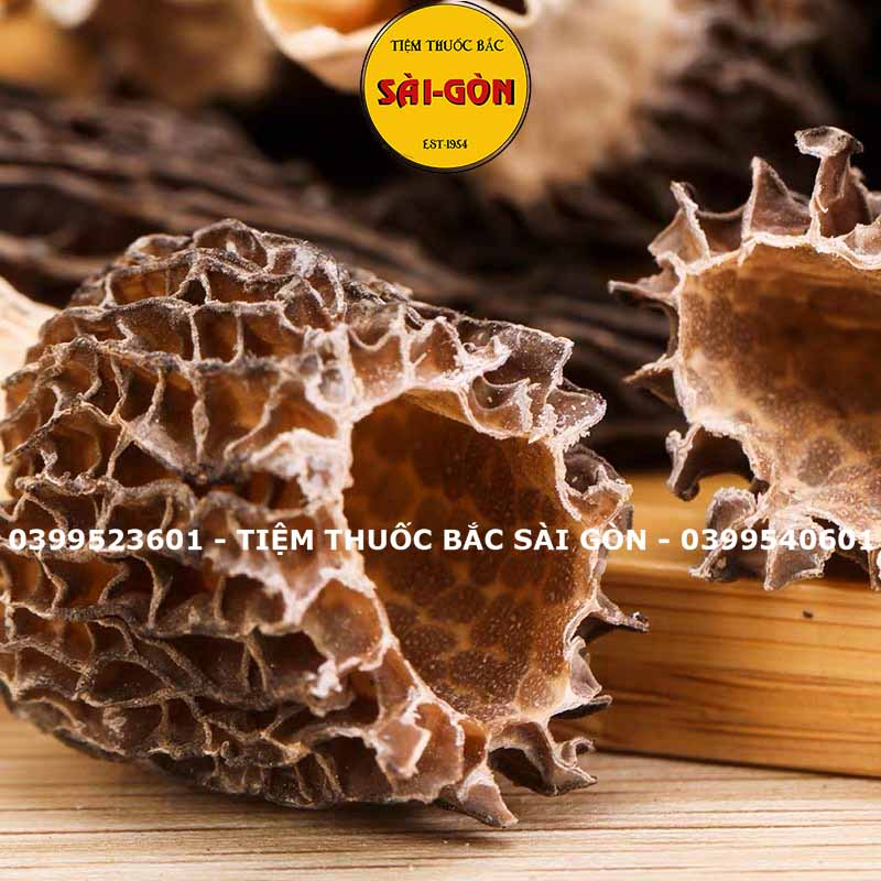 Nấm Bụng Dê 100gram HÀNG TỰ NHIÊN, THỊT DẦY  - Tiệm Thuốc Bắc Sài Gòn