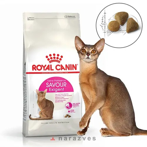Thức Ăn Hạt Cho Mèo Royal Canin Savour Exigent Cho Mèo Biếng Ăn, Mèo Gầy