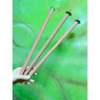 1 cây cầu mài móng cho vẹt gắn lồng chim 30cm - 40cm