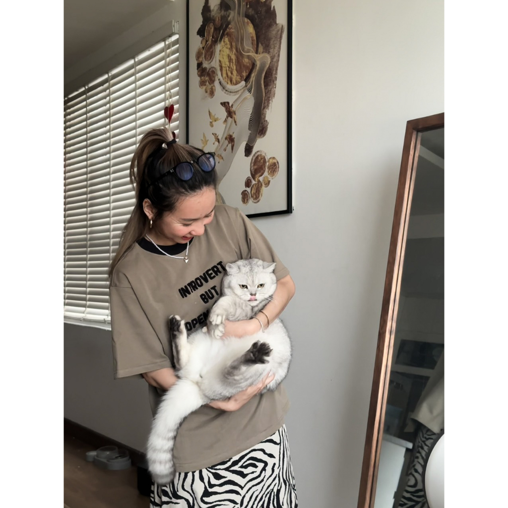 Áo thun Hướng Nội Yêu Mèo - Introvert Boy Club - Xám