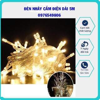 Dây đèn led trang trí dài 5m,đèn nháy