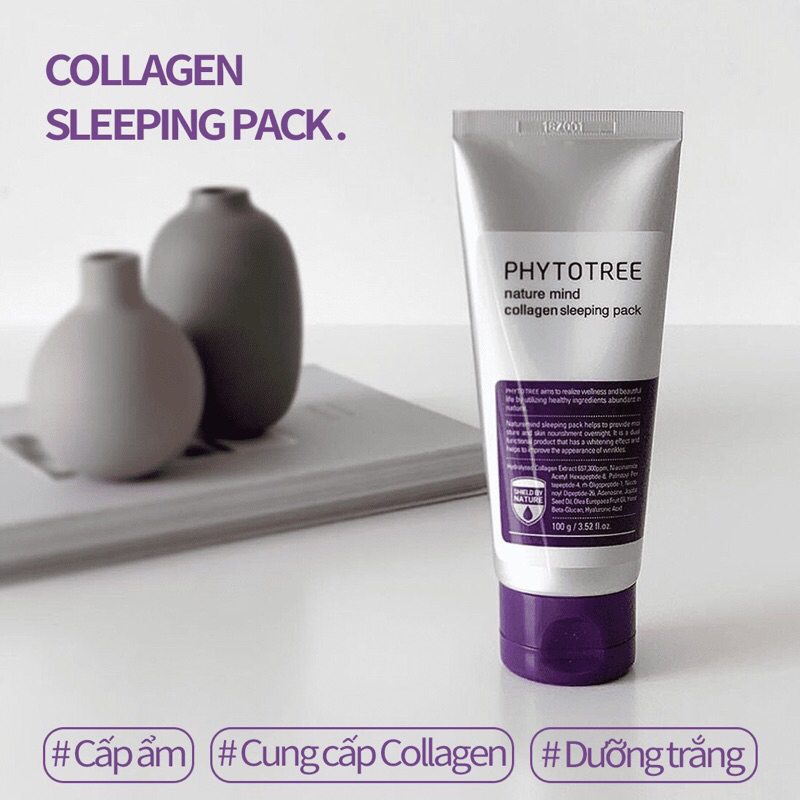Kem ngủ căng bóng tái sinh da PHYTO TREE Nature Mind Collagen Sleeping Pask