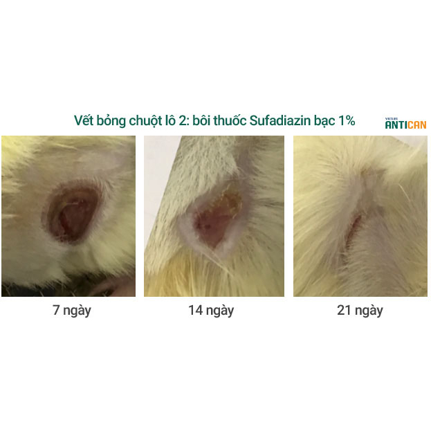 Gel Bôi VIETLIFE ANTICAN GEL 50gr Dưỡng ẩm da và giúp trắng sáng, thúc đẩy tái tạo tế bào mới