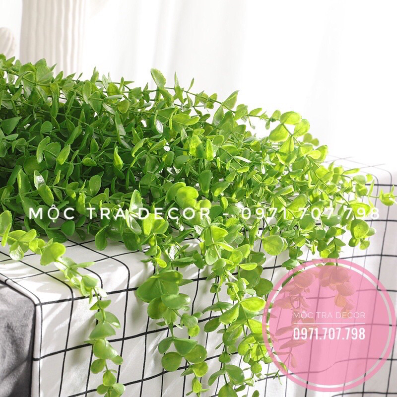 Dây leo giả cúc tần ấn độ Lá To dài 1m Cây giả