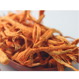 50g đông trùng hạ thảo