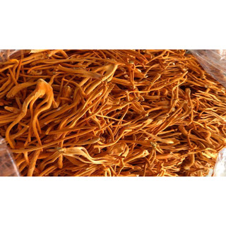 50g đông trùng hạ thảo
