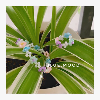 Vòng tay- nhẫn handmade hạt cườm Dear Summer 🌊✨ #fromBlue