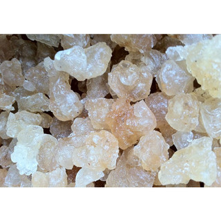 Cây giống trôm cho mủ (Cây đẹp được kiểm tra)