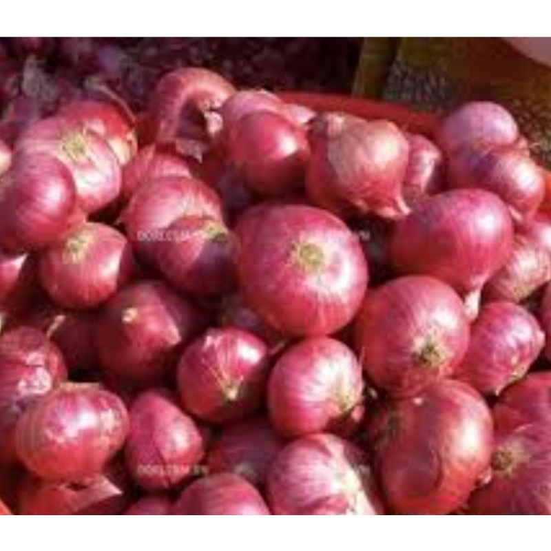 1kg Hành tím Ấn Độ củ bự