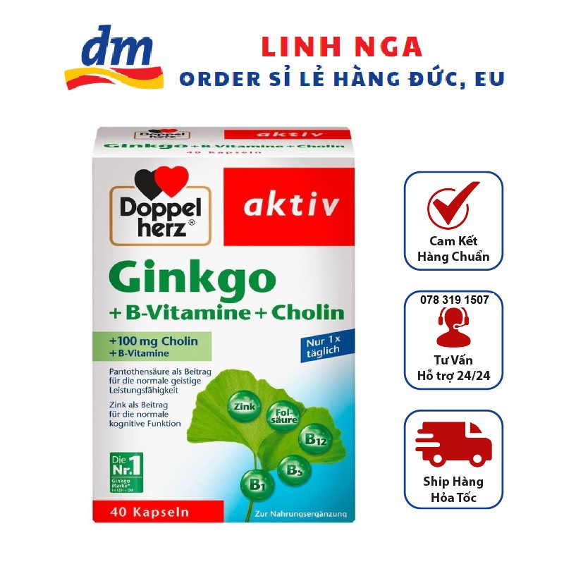 Bổ não ginkgo tăng cường trí nhớ và tuần hoàn não hộp 40 viên- Số 1 tại Đức